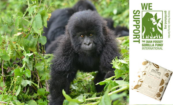 Dian Fossey Gorilla Fund