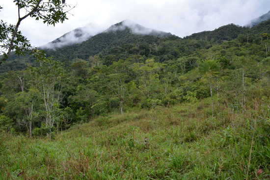 Ecuador ismét